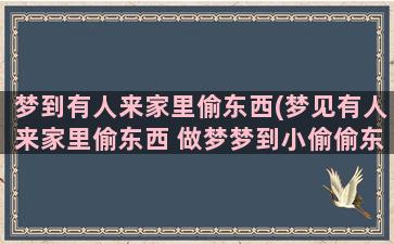 梦到有人来家里偷东西(梦见有人来家里偷东西 做梦梦到小偷偷东西是什么意思)